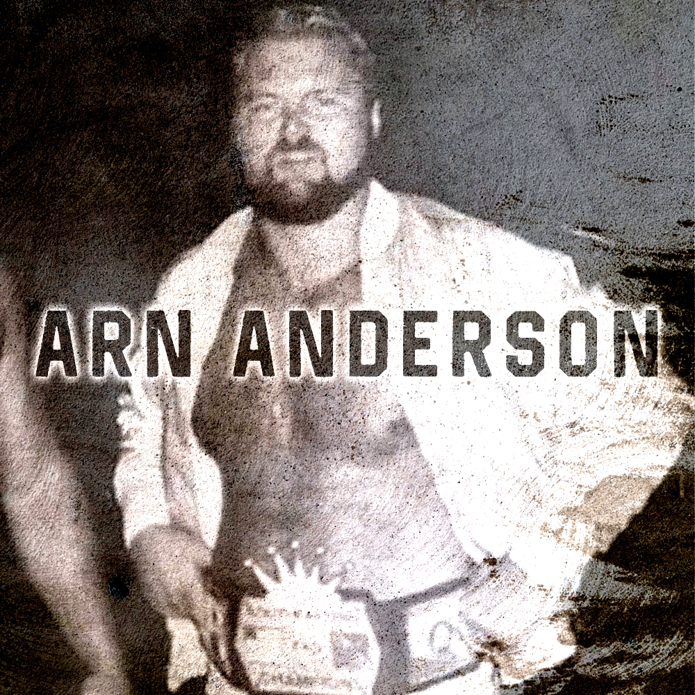 "The Enforcer" Arn Anderson